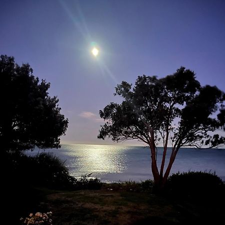 Beachfront Bliss - Your Parapara Seaside Retreat 外观 照片