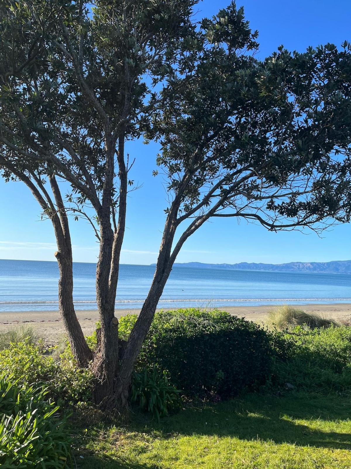 Beachfront Bliss - Your Parapara Seaside Retreat 外观 照片