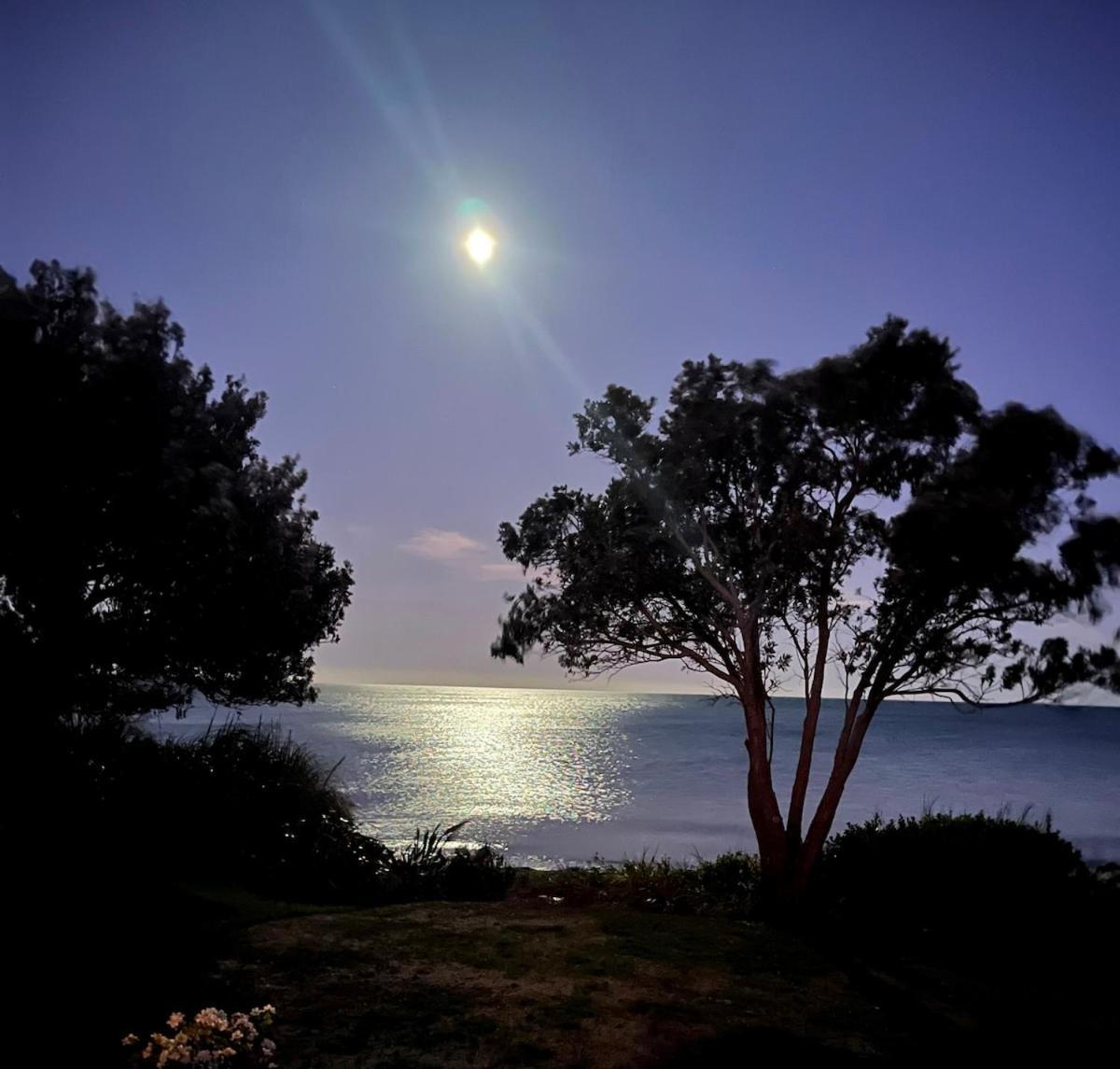 Beachfront Bliss - Your Parapara Seaside Retreat 外观 照片
