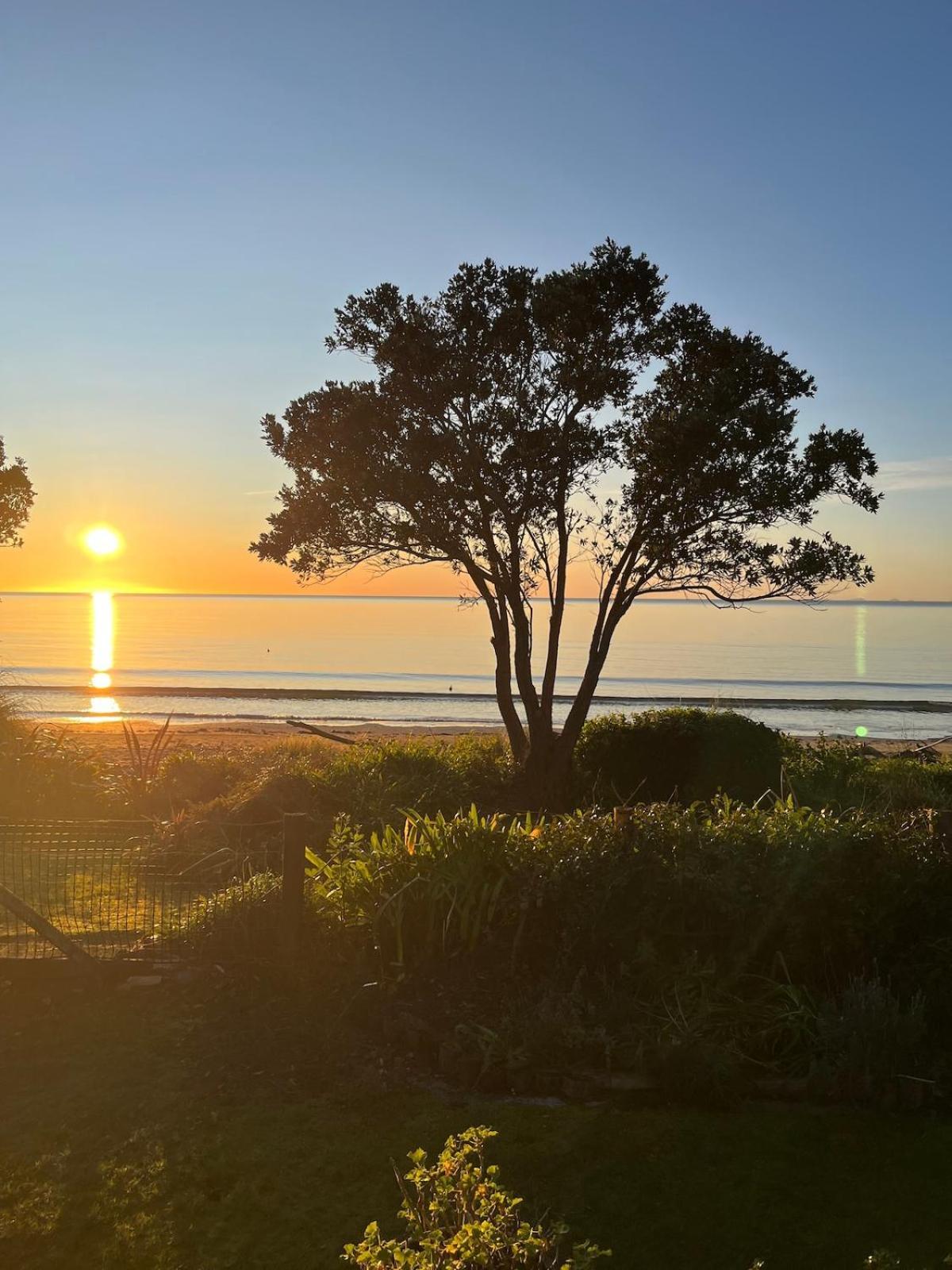 Beachfront Bliss - Your Parapara Seaside Retreat 外观 照片